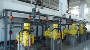 Water Plant