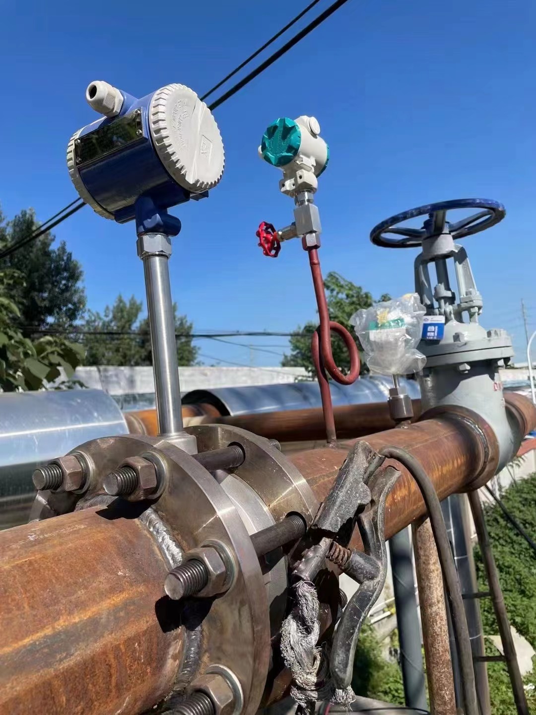 Vortex Flowmeter (3)