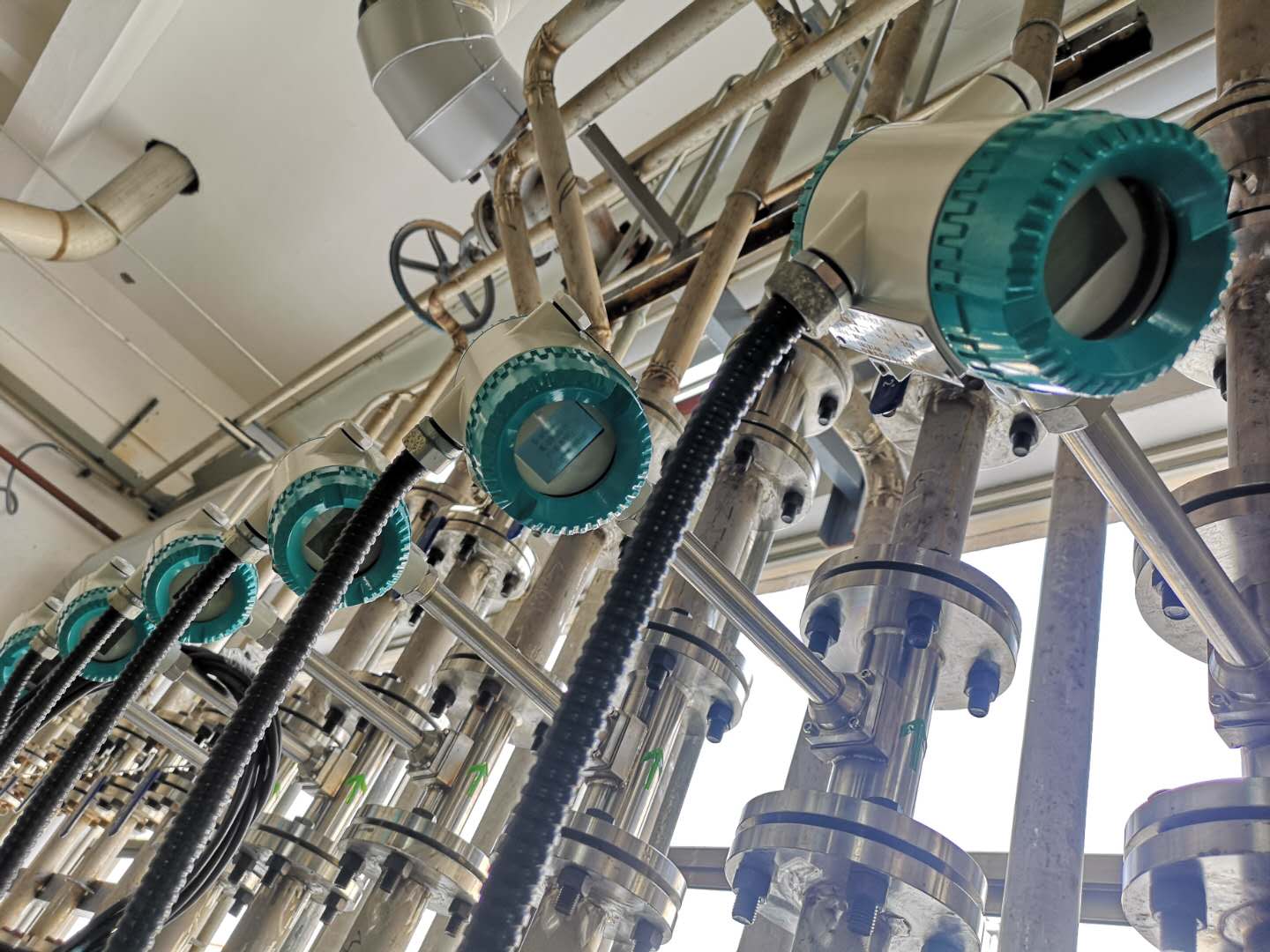 Vortex Flowmeter (9)